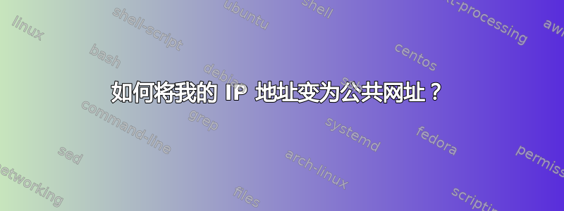 如何将我的 IP 地址变为公共网址？