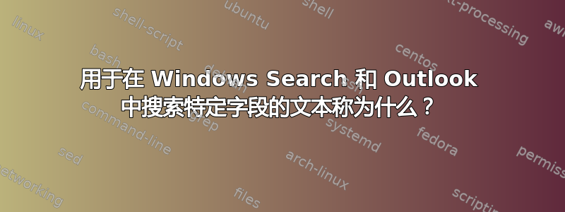 用于在 Windows Search 和 Outlook 中搜索特定字段的文本称为什么？