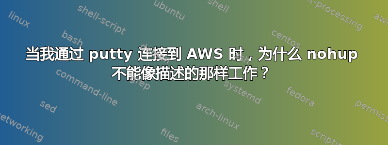 当我通过 putty 连接到 AWS 时，为什么 nohup 不能像描述的那样工作？