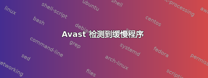 Avast 检测到缓慢程序