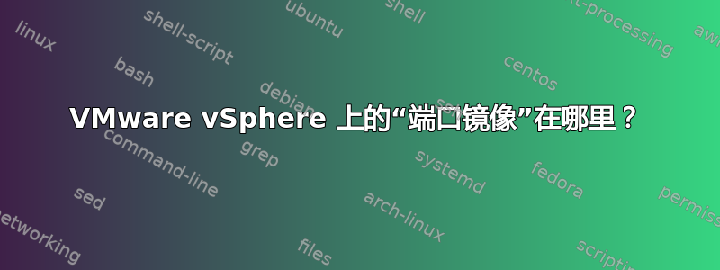 VMware vSphere 上的“端口镜像”在哪里？