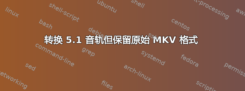 转换 5.1 音轨但保留原始 MKV 格式