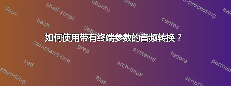 如何使用带有终端参数的音频转换？