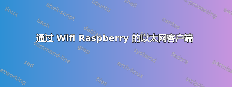 通过 Wifi Raspberry 的以太网客户端