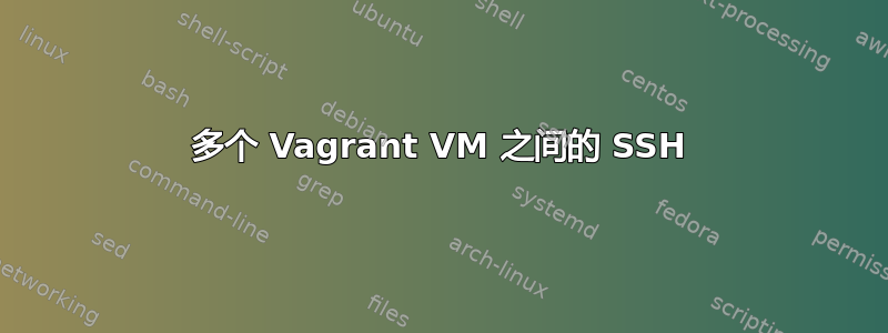 多个 Vagrant VM 之间的 SSH