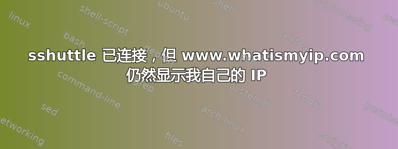 sshuttle 已连接，但 www.whatismyip.com 仍然显示我自己的 IP