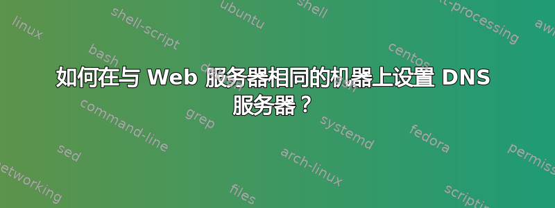 如何在与 Web 服务器相同的机器上设置 DNS 服务器？