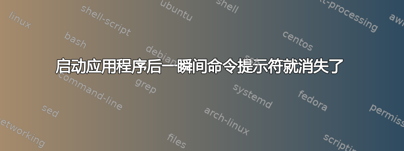 启动应用程序后一瞬间命令提示符就消失了