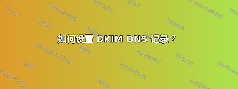 如何设置 DKIM DNS 记录？