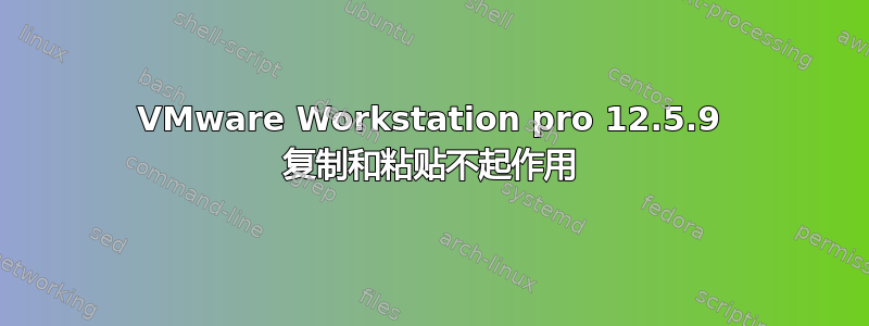 VMware Workstation pro 12.5.9 复制和粘贴不起作用