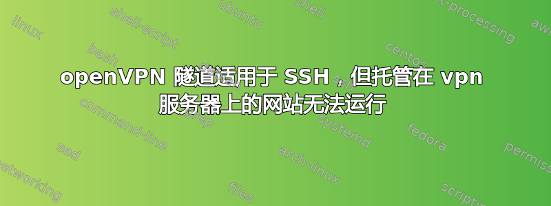 openVPN 隧道适用于 SSH，但托管在 vpn 服务器上的网站无法运行