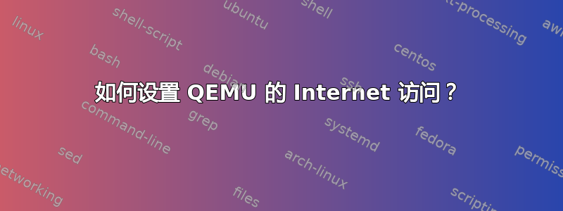 如何设置 QEMU 的 Internet 访问？