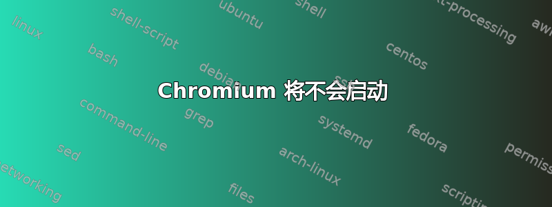 Chromium 将不会启动