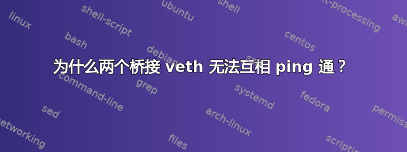 为什么两个桥接 veth 无法互相 ping 通？