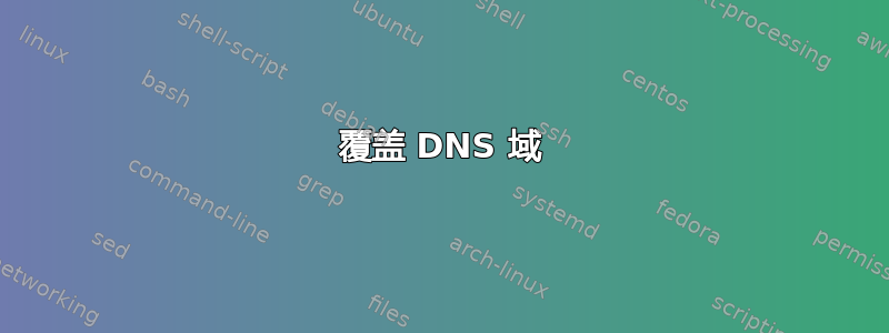 覆盖 DNS 域