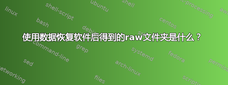 使用数据恢复软件后得到的raw文件夹是什么？