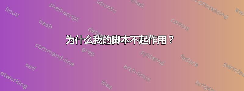 为什么我的脚本不起作用？