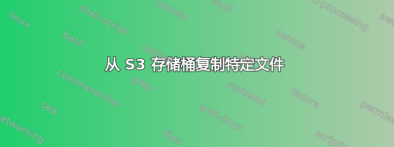 从 S3 存储桶复制特定文件