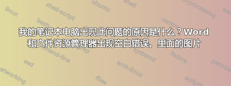 我的笔记本电脑出现此问题的原因是什么？Word 和文件资源管理器出现空白错误。里面的图片