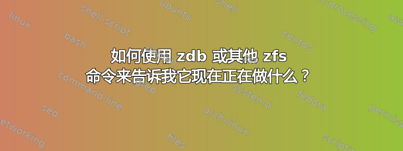 如何使用 zdb 或其他 zfs 命令来告诉我它现在正在做什么？