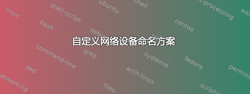 自定义网络设备命名方案