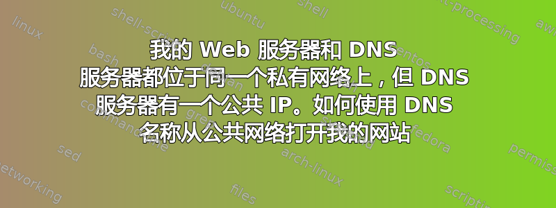 我的 Web 服务器和 DNS 服务器都位于同一个私有网络上，但 DNS 服务器有一个公共 IP。如何使用 DNS 名称从公共网络打开我的网站