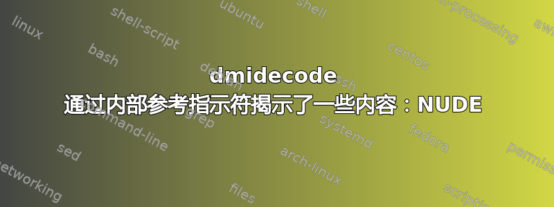 dmidecode 通过内部参考指示符揭示了一些内容：NUDE