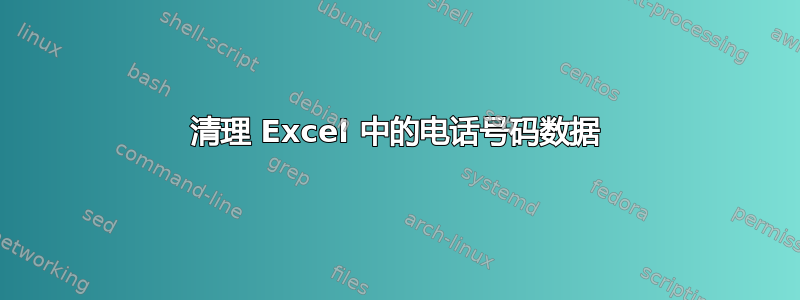 清理 Excel 中的电话号码数据