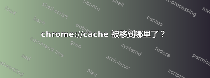 chrome://cache 被移到哪里了？