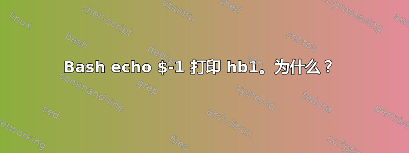 Bash echo $-1 打印 hb1。为什么？ 