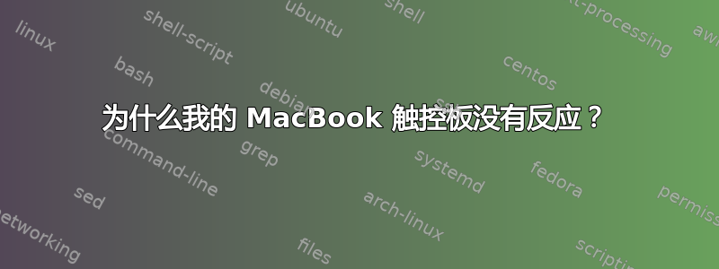 为什么我的 MacBook 触控板没有反应？