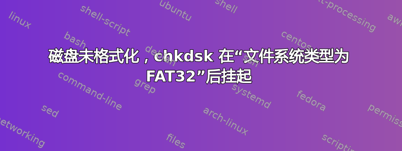 磁盘未格式化，chkdsk 在“文件系统类型为 FAT32”后挂起