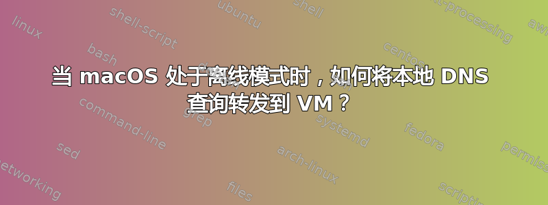 当 macOS 处于离线模式时，如何将本地 DNS 查询转发到 VM？