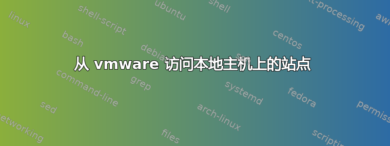 从 vmware 访问本地主机上的站点