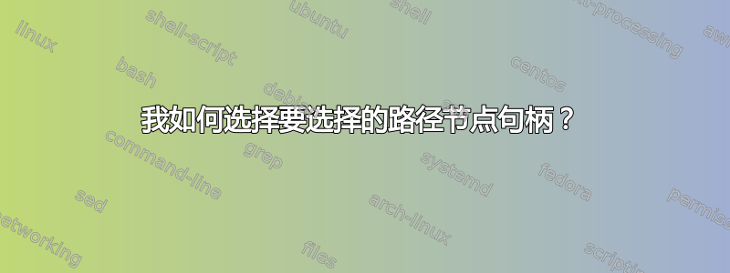 我如何选择要选择的路径节点句柄？