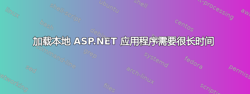 加载本地 ASP.NET 应用程序需要很长时间