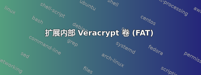 扩展内部 Veracrypt 卷 (FAT)