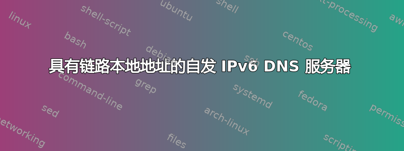 具有链路本地地址的自发 IPv6 DNS 服务器