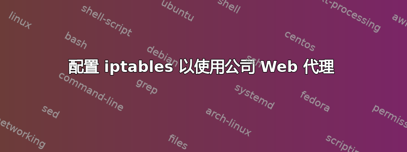 配置 iptables 以使用公司 Web 代理