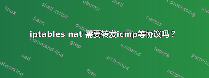 iptables nat 需要转发icmp等协议吗？