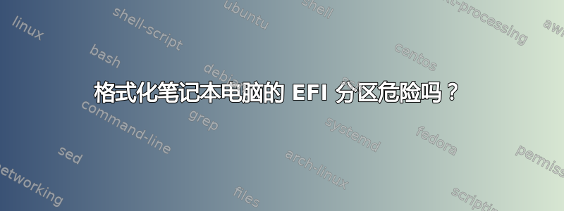 格式化笔记本电脑的 EFI 分区危险吗？