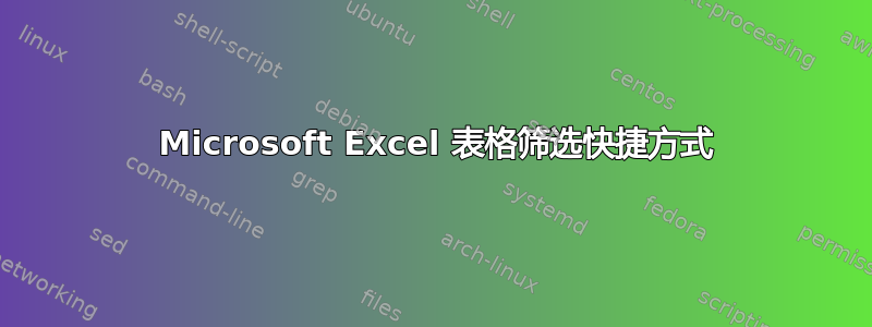 2013 Microsoft Excel 表格筛选快捷方式