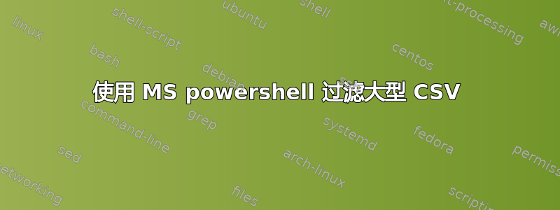 使用 MS powershell 过滤大型 CSV