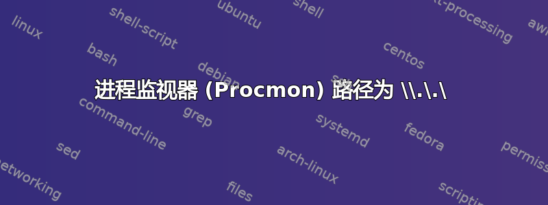 进程监视器 (Procmon) 路径为 \\.\.\