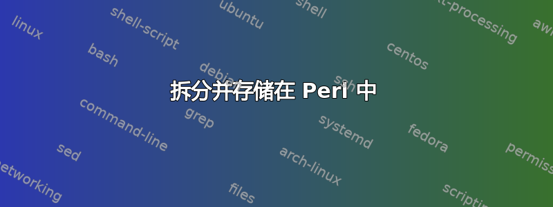 拆分并存储在 Perl 中