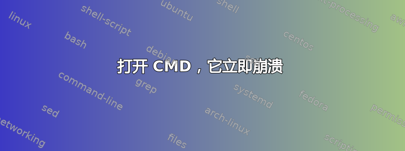 打开 CMD，它立即崩溃