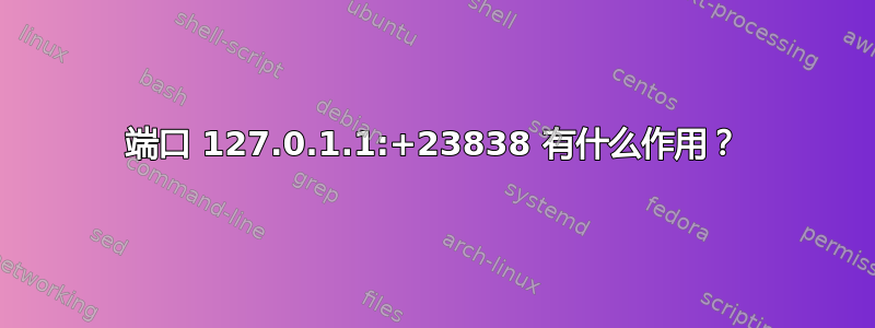 端口 127.0.1.1:+23838 有什么作用？