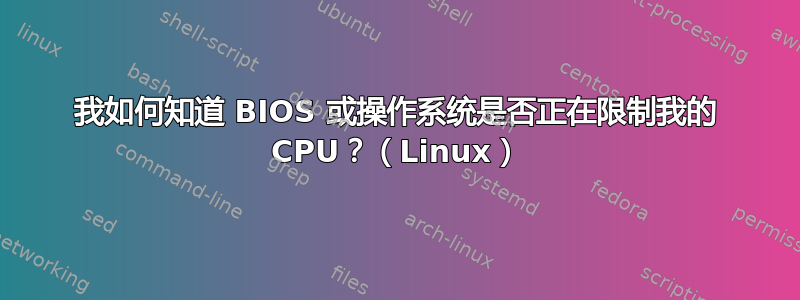 我如何知道 BIOS 或操作系统是否正在限制我的 CPU？（Linux）