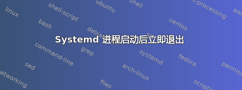 Systemd 进程启动后立即退出