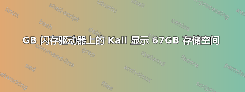 32GB 闪存驱动器上的 Kali 显示 67GB 存储空间